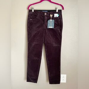 Democracy Absolution Jeri Skinny Jegging Brown Corduroy Pants